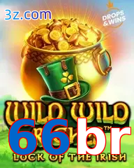 66br