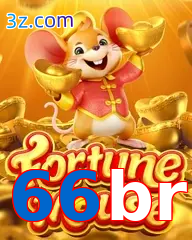 66br